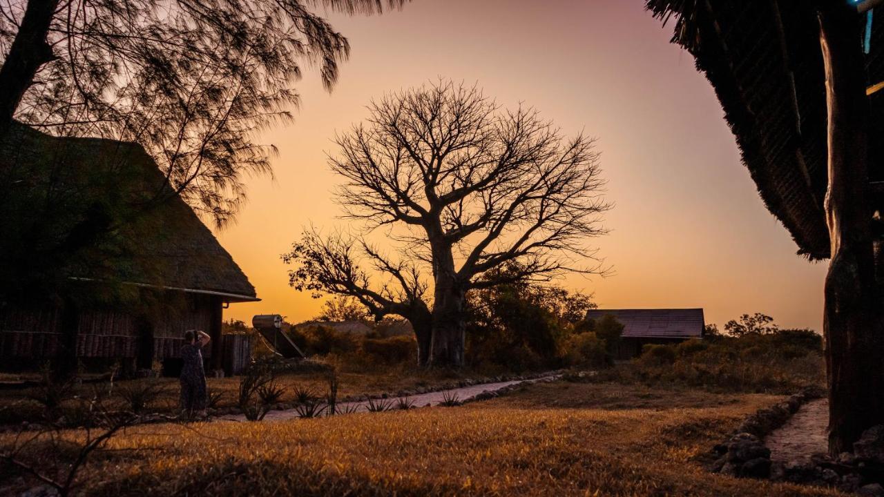 Pemba Eco Lodge Kengeja Extérieur photo