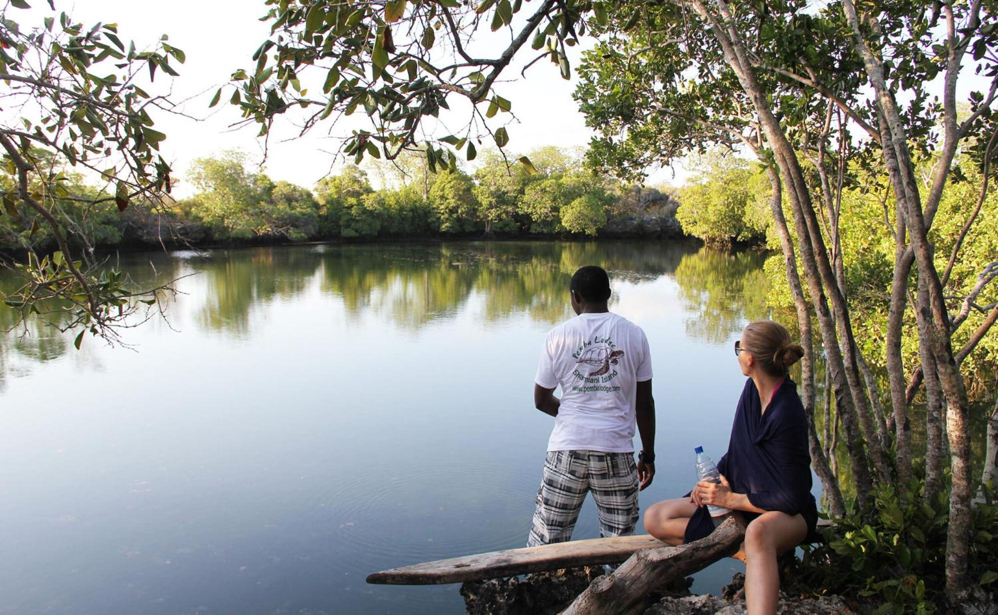 Pemba Eco Lodge Kengeja Extérieur photo